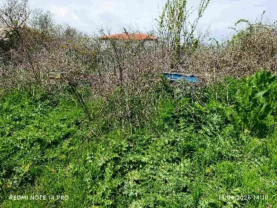 Продава се къща, 75 m², Емона: снимка 4
